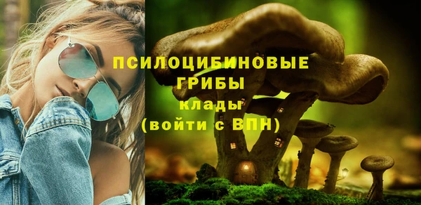 первитин Краснослободск