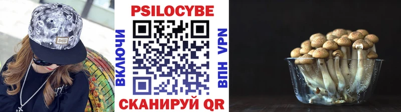 Купить где  Багратионовск  Галлюциногенные грибы ЛСД 