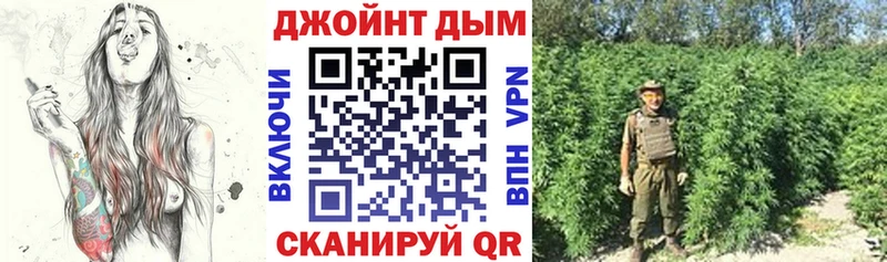 Купить где  Багратионовск  Канабис семена 